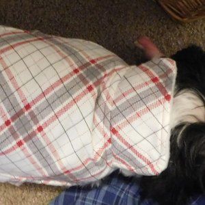 Dog Coat-Handcrafted & Adjustable-Size Small